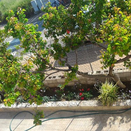 شقة Casa Di Rosa شيا المظهر الخارجي الصورة